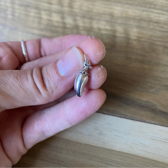 James Avery Rare Retired jalapeño Sterling Silver Charm - Picture 8 of 8